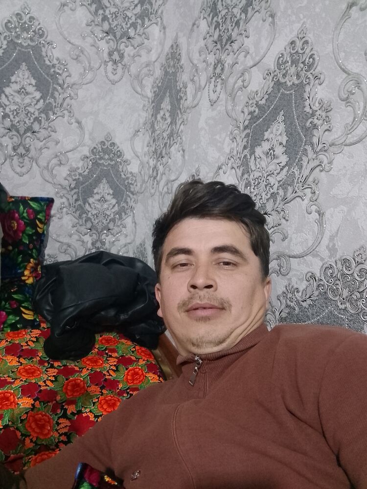  49961546  , 31 ,    