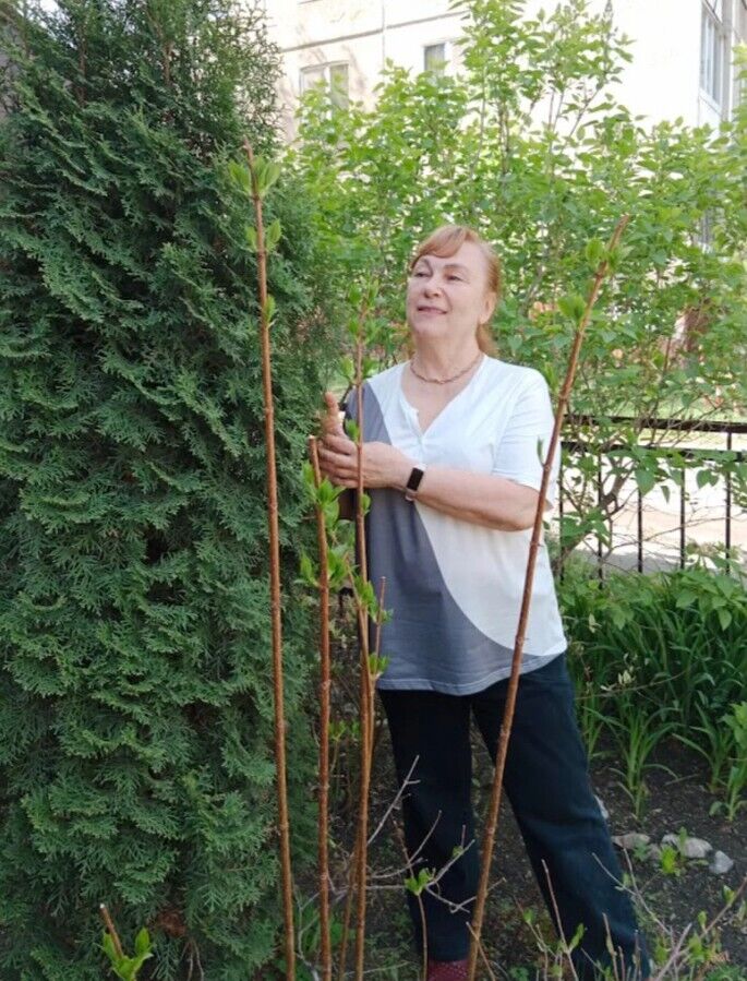 ���������� ���������, ���� ������� ����, 58 ���, ������������ ��� c�������� ���������