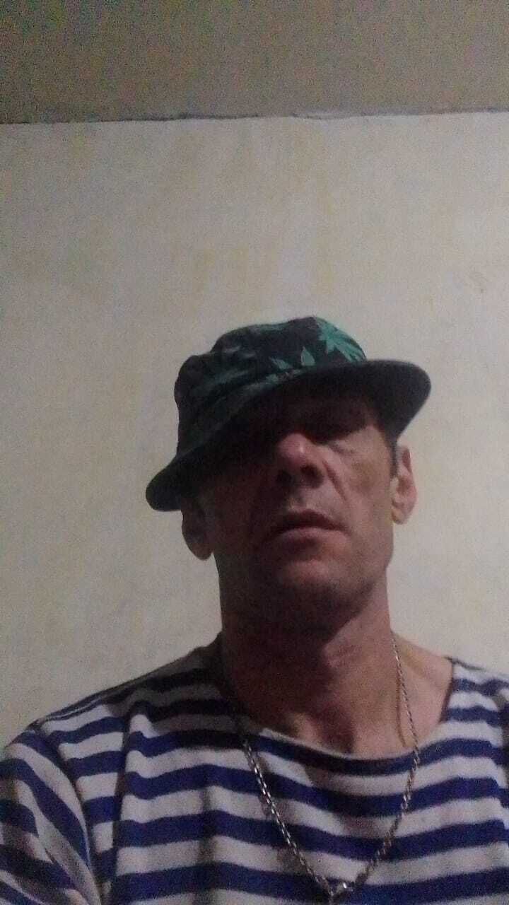  53815506  , 47 ,     