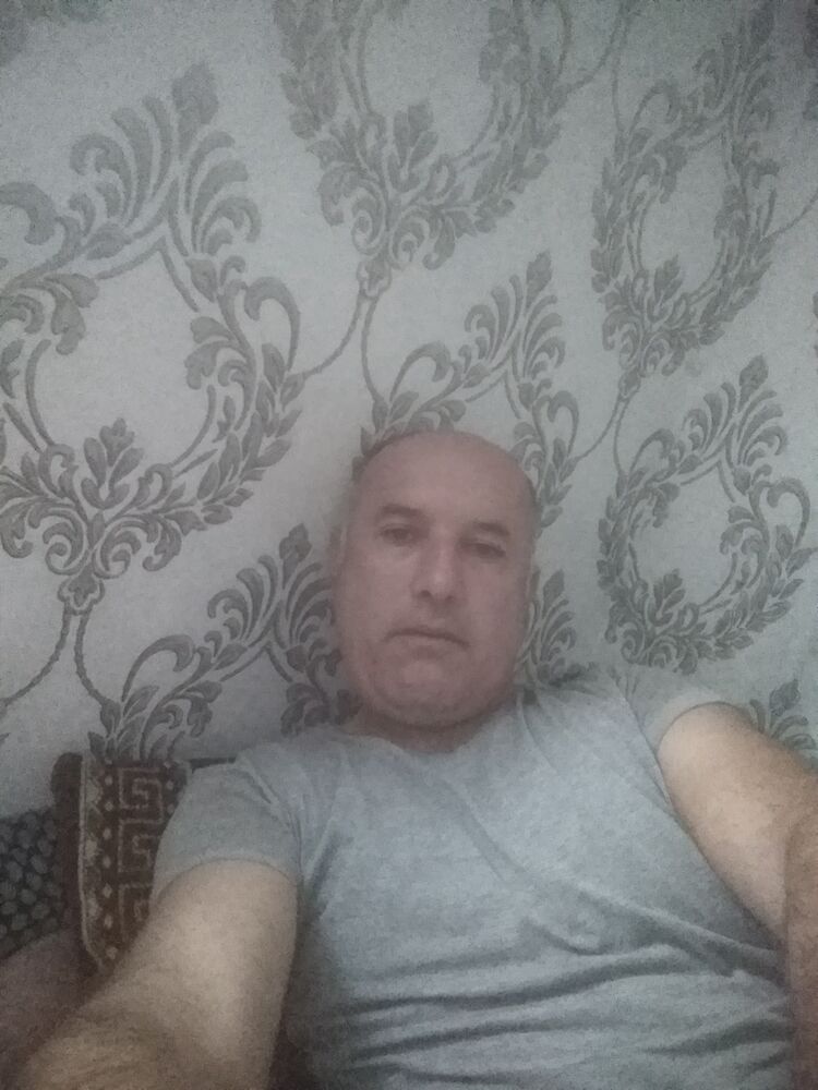  29406596  , 43 ,    