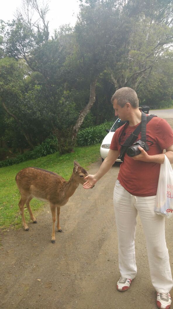 ���������� ������, ���� ������� Alex, 40 ���, ������������ ��� ������, ����� � ���������