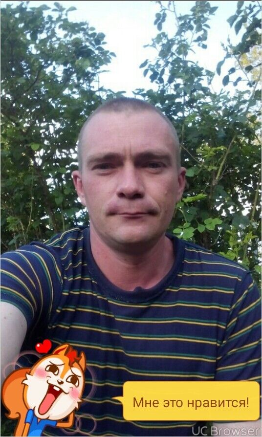 ���� 8159376 ������� ������, 45 ���, ���� ���������� � ���������