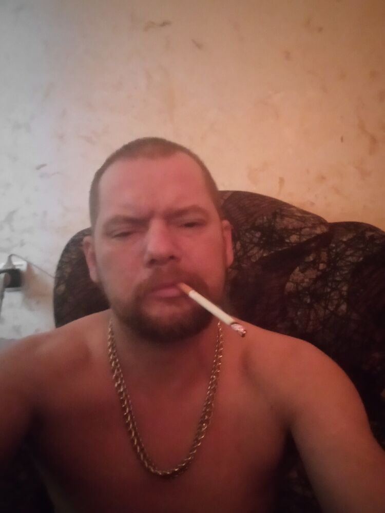  41335176  , 38 ,    