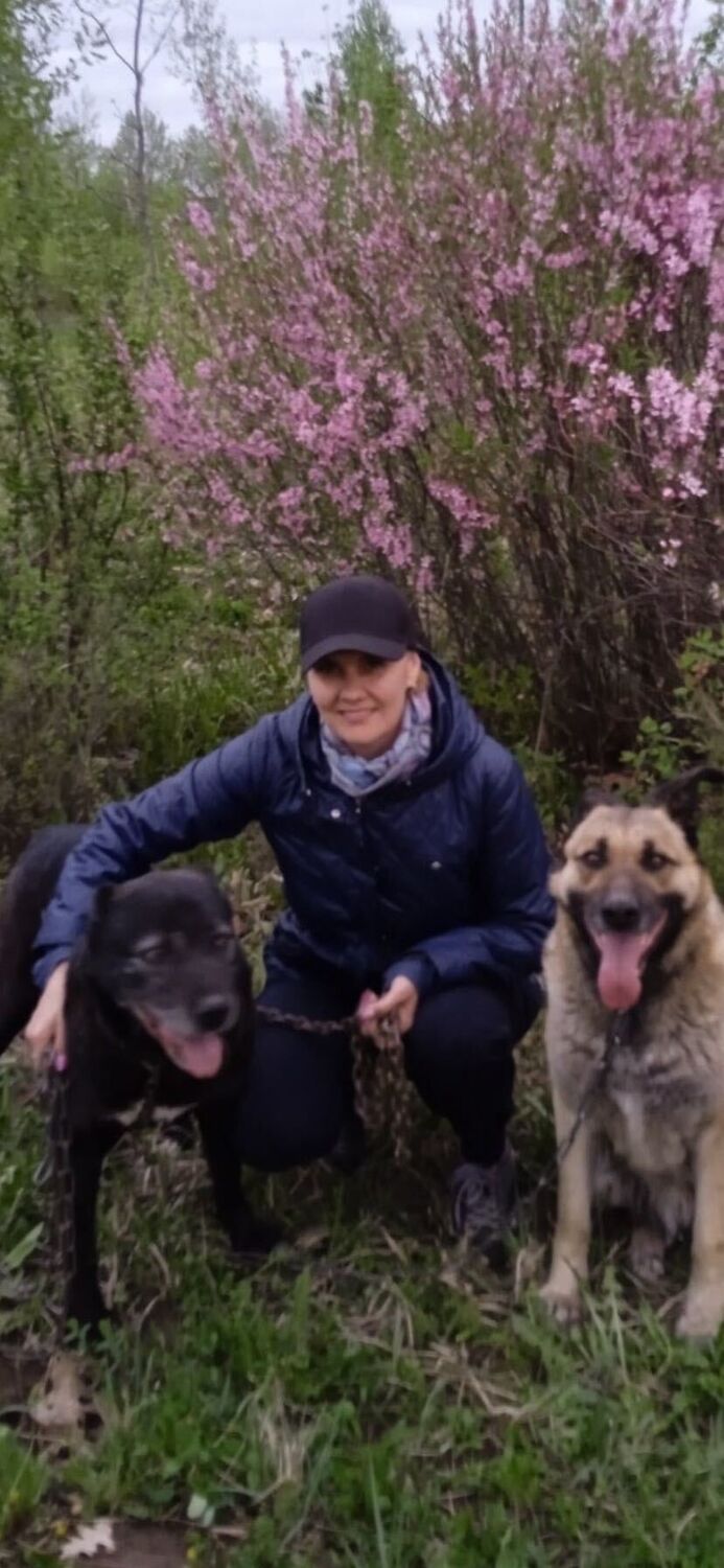 ���� 56315826 ������� ���������, 49 ���, ���� ���������� � ����������