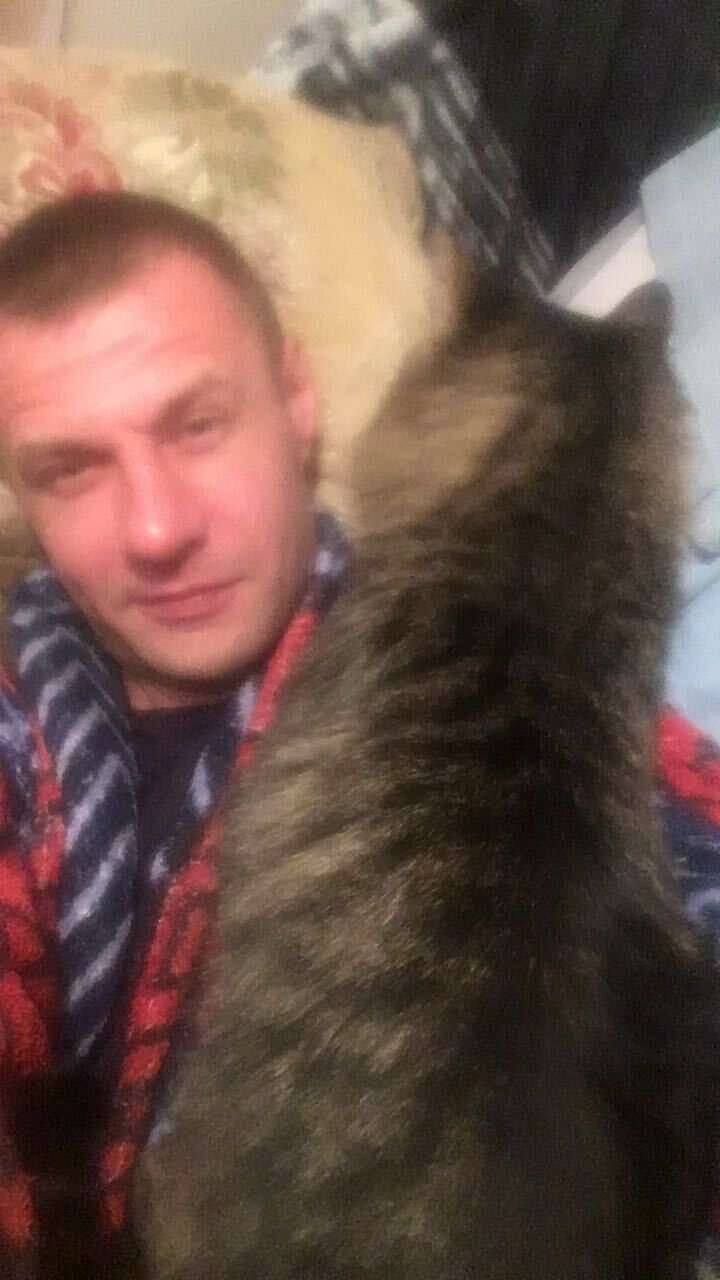 ���� 49768846 ������� �����, 41 ���, ���� ���������� � ������