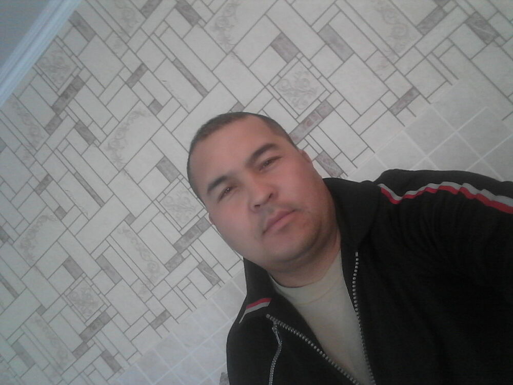  9088406  81, 43 ,    