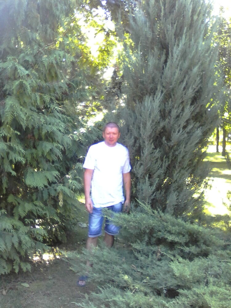  ,   , 43 ,     , 