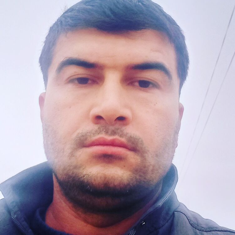  31098496  , 36 ,    