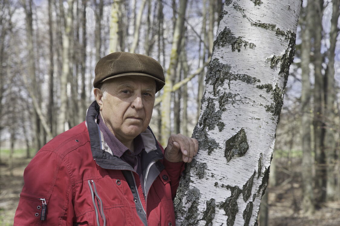 ���������� ��������, ���� ������� ��������, 72 ����, ������������ ��� c�������� ���������