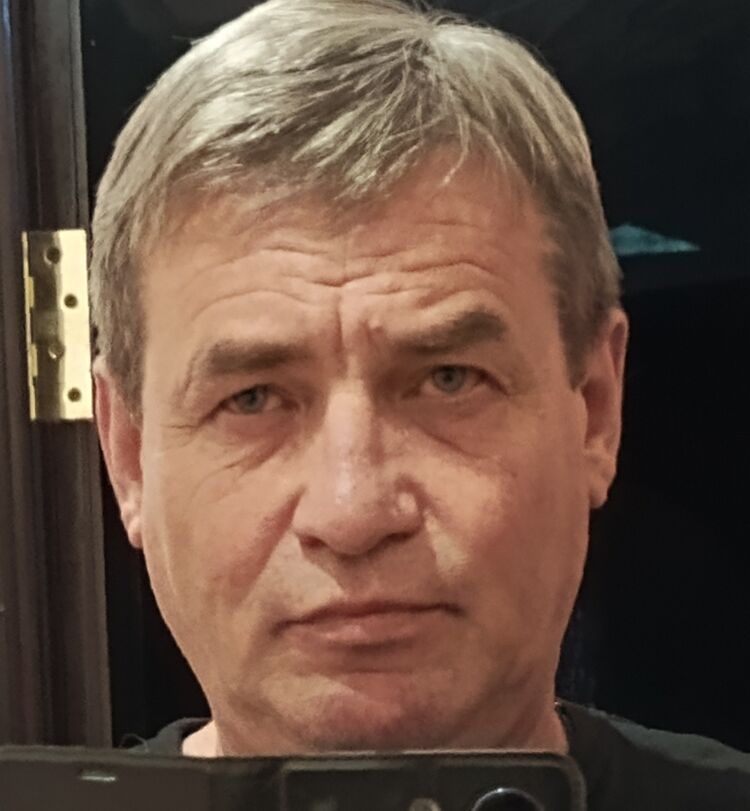  50004336  , 53 ,    