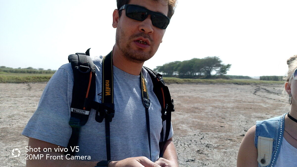 ���� 12734946 ������� Smeshchel, 41 ���, ���� ���������� � ��������