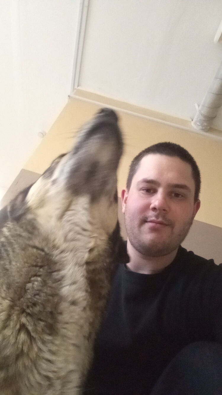 ���� 50892366 ����� ��������, 25 ���, ���� ���������� � ������� ����