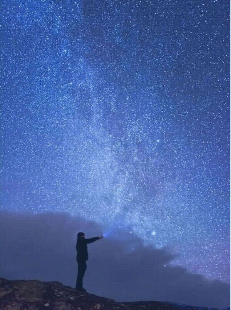 ���� 26300956 ������� ������, 44 ����, ���� ���������� � ���������