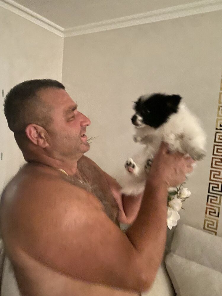 ���� 55513476 ������� �������, 51 ���, ���� ���������� � ������