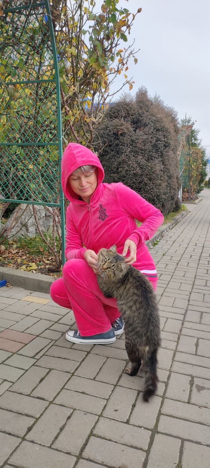  --,   , 54 ,   c 