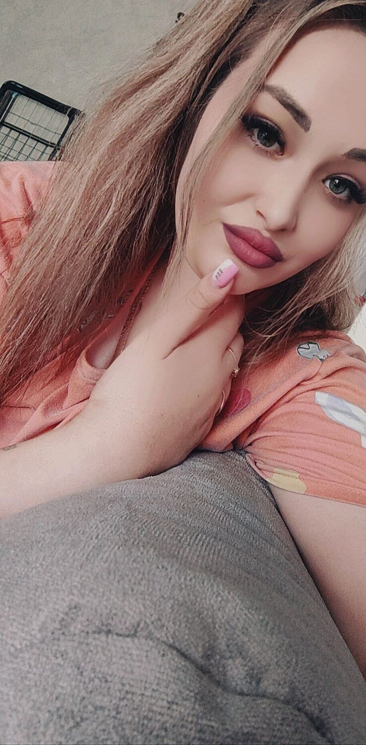  45568016  , 27 ,    