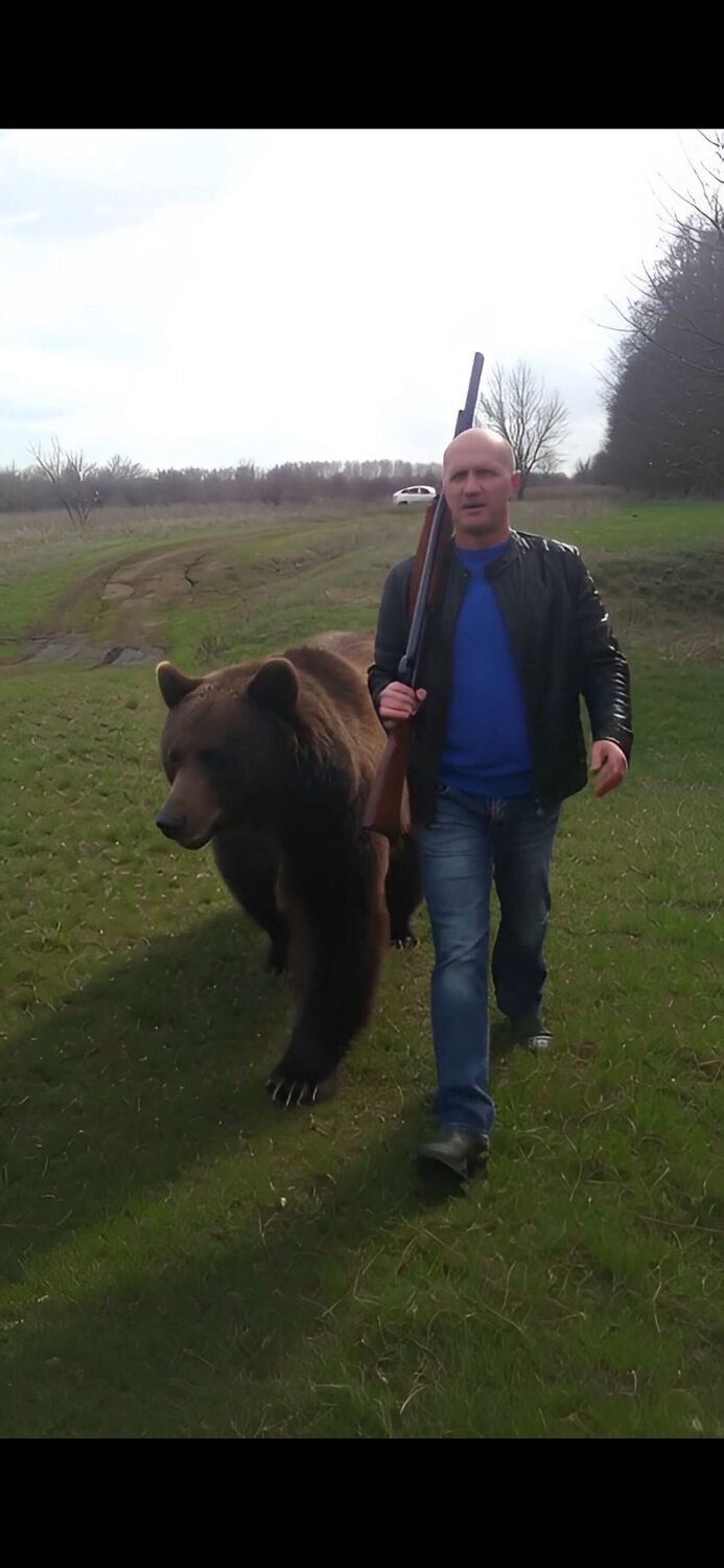 ���� 54218436 ������� ����, 45 ���, ���� ���������� � ��������