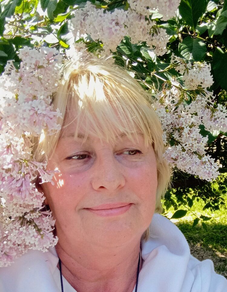  54136186  , 65 ,    -