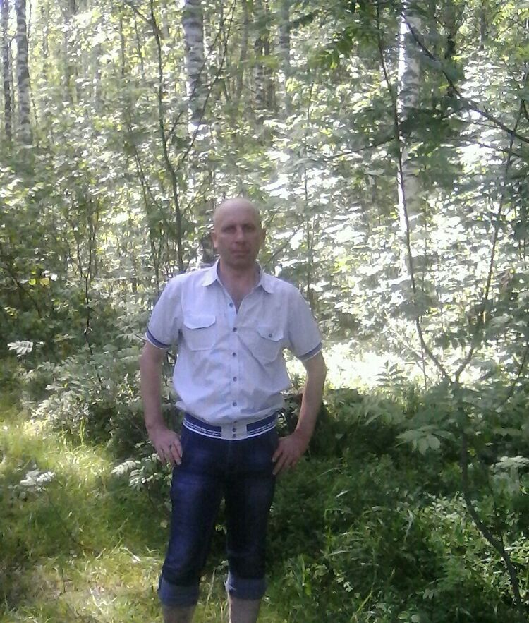 ���� 15684386 ������� ���, 48 ���, ���� ���������� � ���������