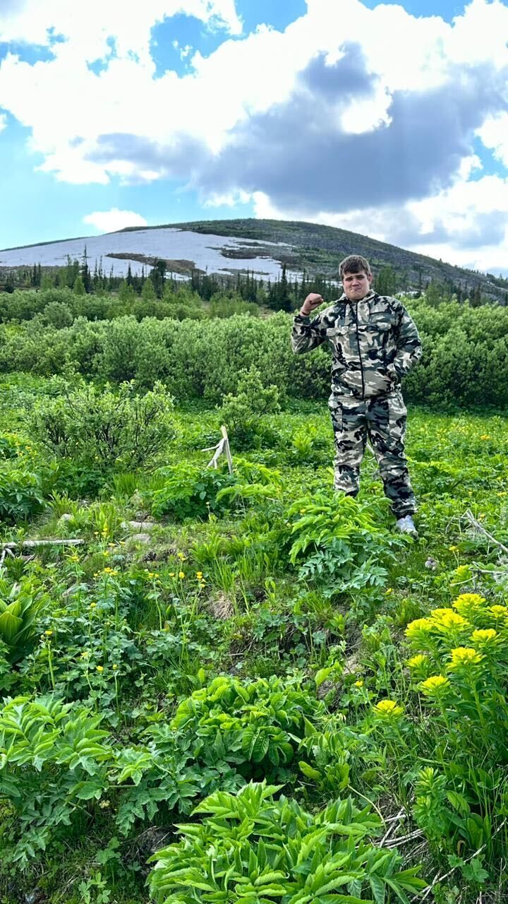 ���� 38662066 ����� ����, 25 ���, ���� ���������� � ��������