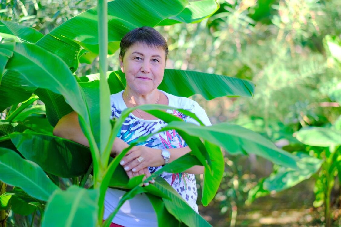 ���������� ���������, ���� ������� ��������, 63 ����, ������������ ��� ����� � ���������, c�������� ���������, ���������