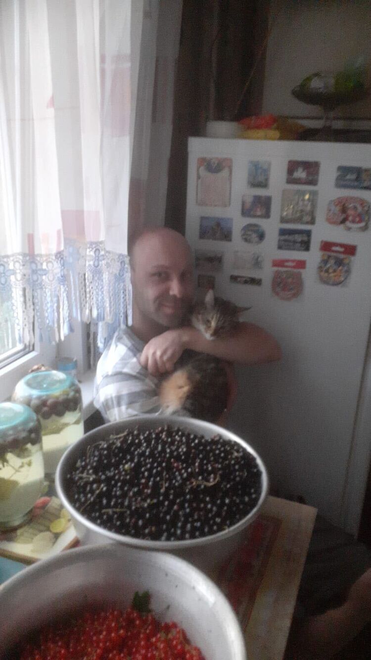 ���������� �����������, ���� ������� ������, 31 ���, ������������ ��� ������, ����� � ���������, c�������� ���������