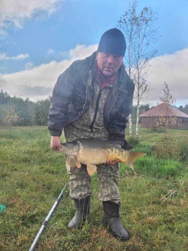 ���� 56077826 ������� ������, 48 ���, ���� ���������� � �������