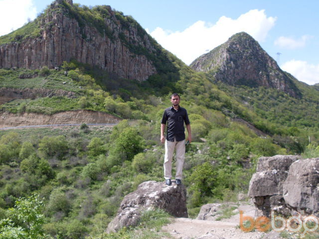  ,   Arar, 40 ,   