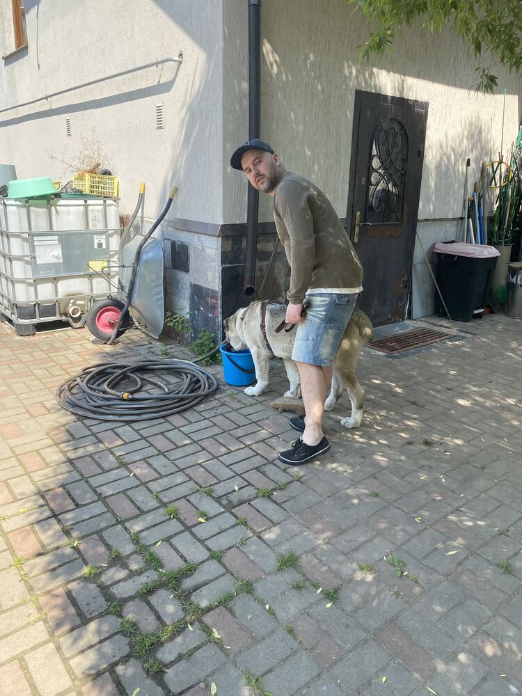 ���������� �����, ���� ������� ����, 37 ���, ������������ ��� ����� � ���������, c�������� ���������