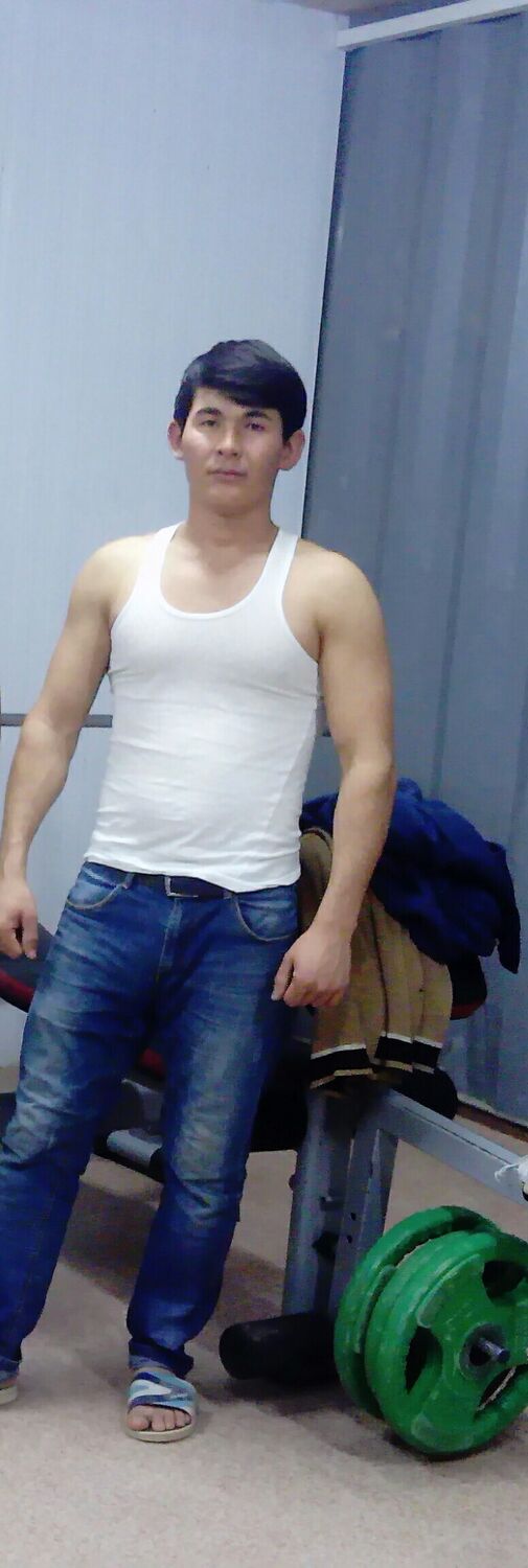  35558546  , 31 ,    