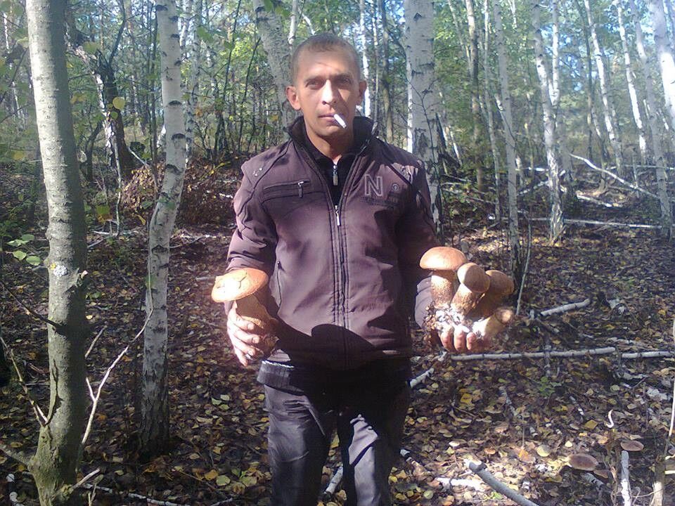 ���������� ������, ���� ������� ��������, 43 ����, ������������ ��� ������, ����� � ���������, c�������� ���������