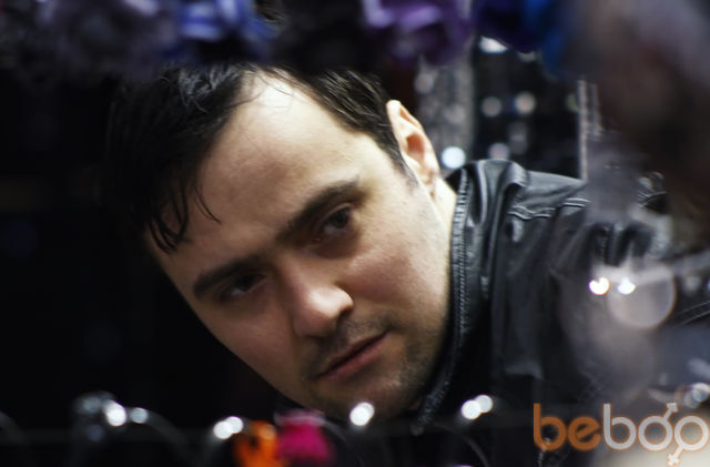 ���������� �������, ���� ������� Shio, 44 ����, ������������ ��� ������, ����� � ���������, c�������� ���������