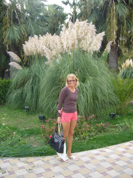  ,   , 59 ,   ,   