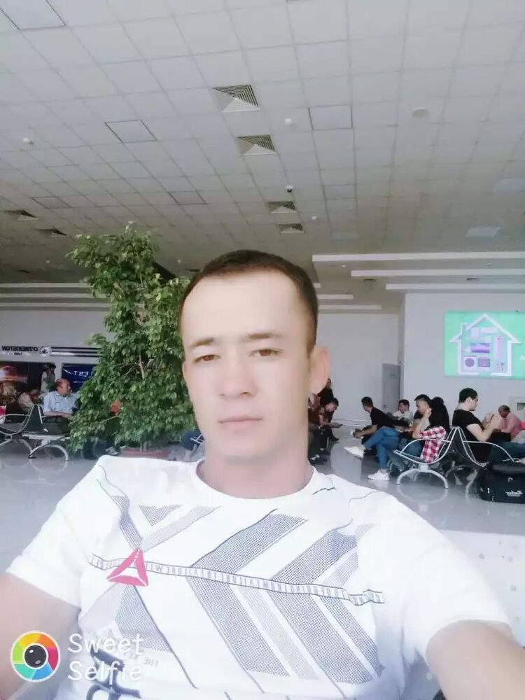  42333866  Xamdam, 31 ,    