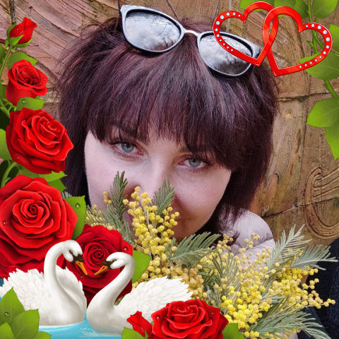 ���� 50858056 ������� ��������, 54 ����, ���� ���������� � ��������