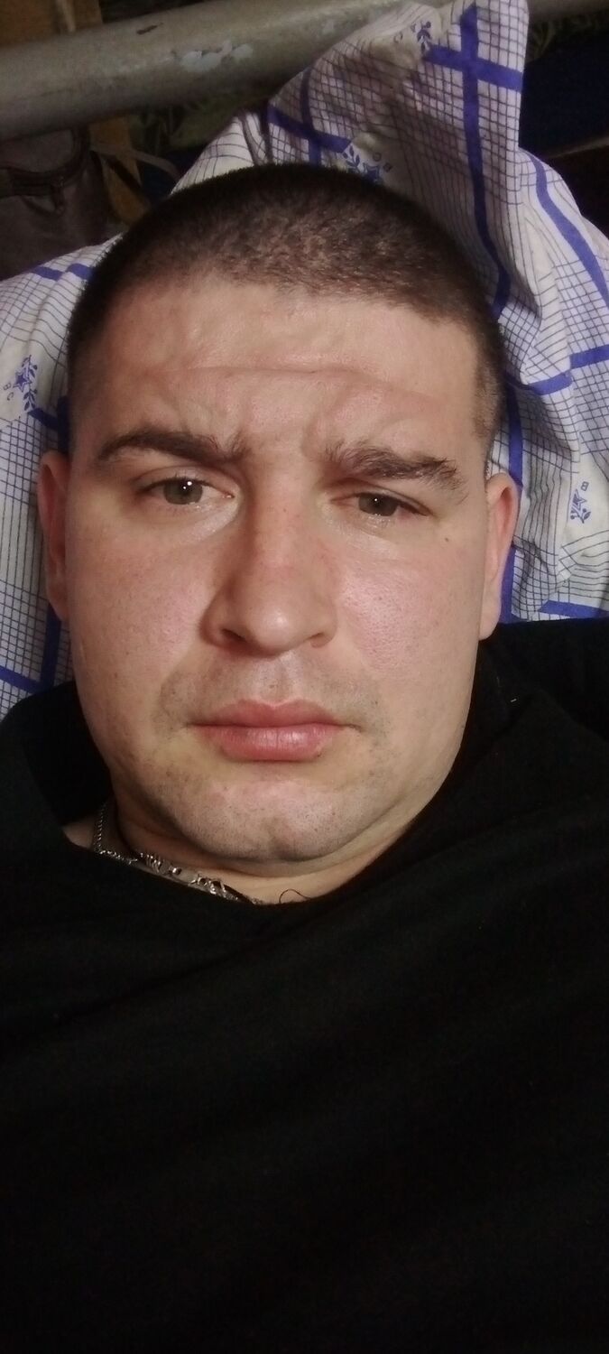  31381016  , 32 ,    