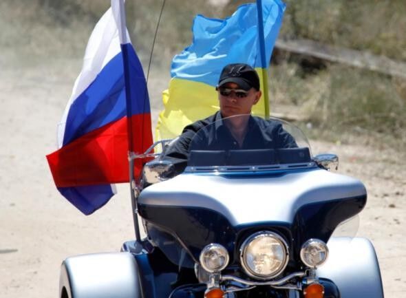 ���� 8282876 ������� �����, 51 ���, ���� ���������� � �����