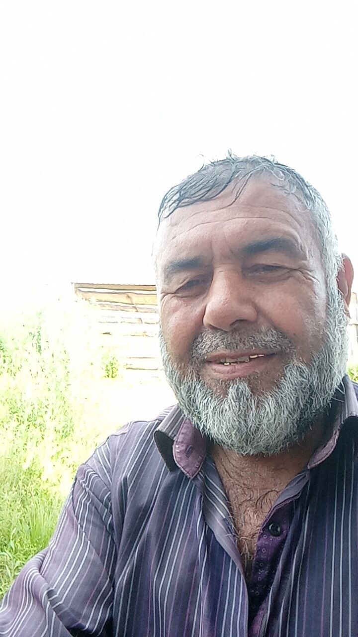  44544146  , 63 ,    