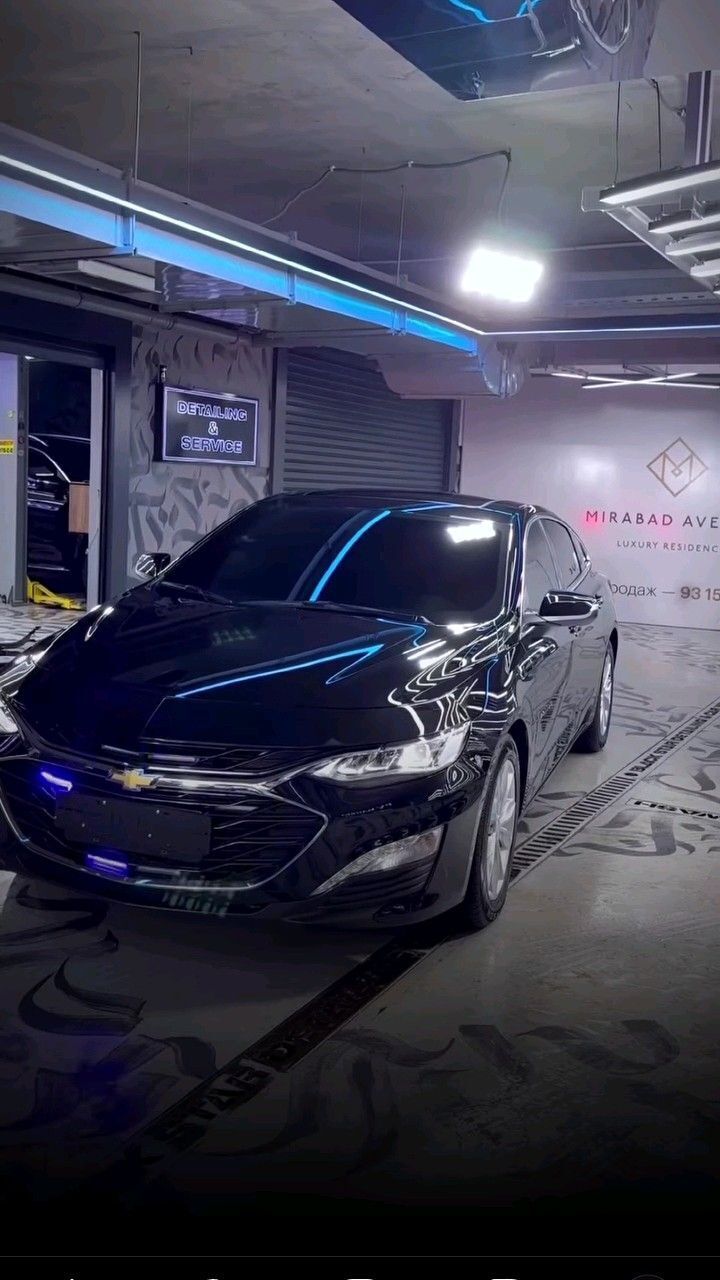 ���� 55180646 ����� ��������, 23 ����, ���� ���������� � ��������