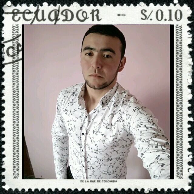  20437346  , 30 ,    