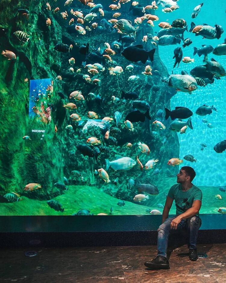 ���������� �����-���������, ���� ������� FED, 30 ���, ������������ ��� ������, ����� � ���������