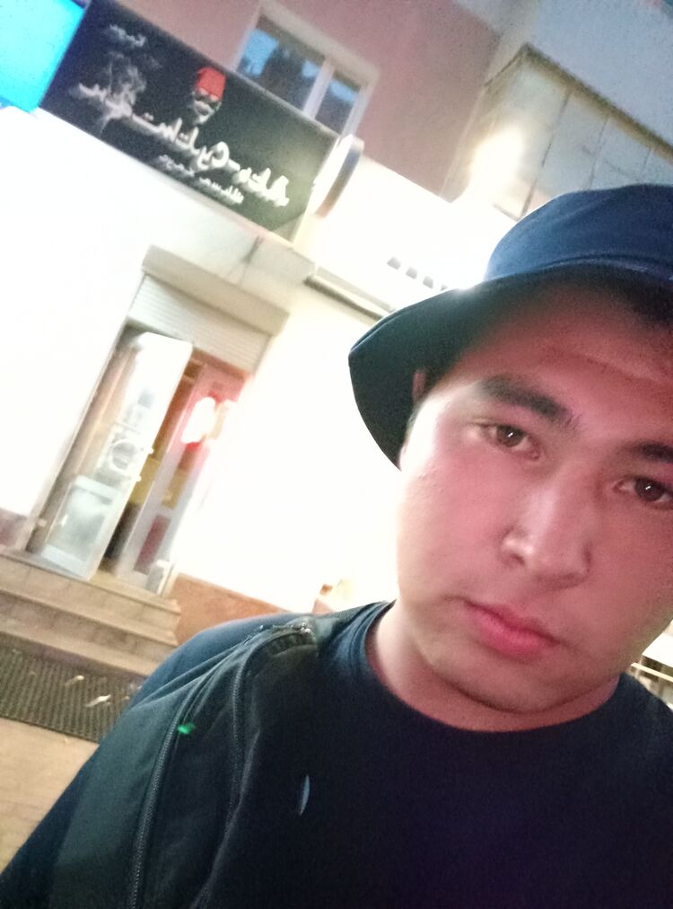  28284306  , 24 ,    