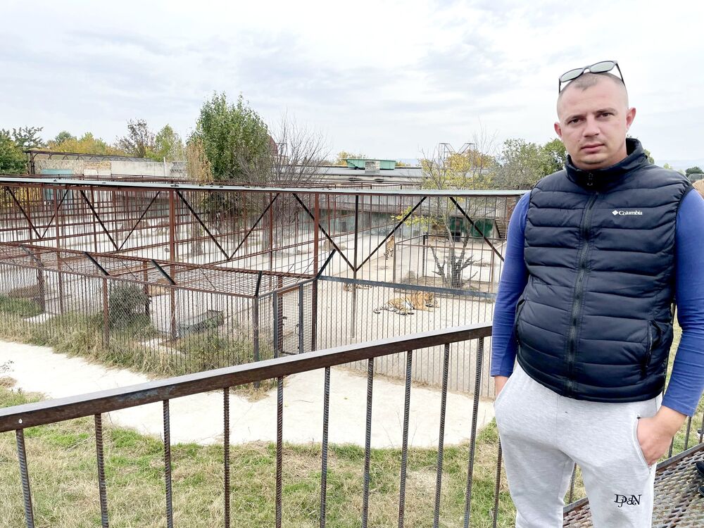 ���� 24584546 ������� Kolya, 37 ���, ���� ���������� � �����������