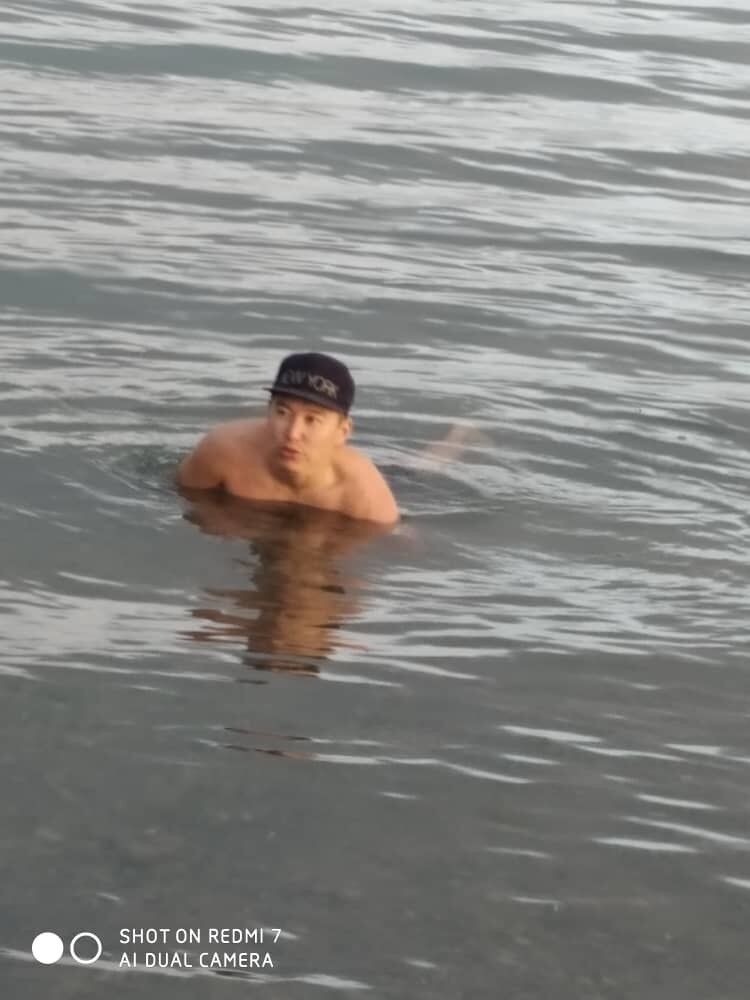  17824126  , 33 ,    