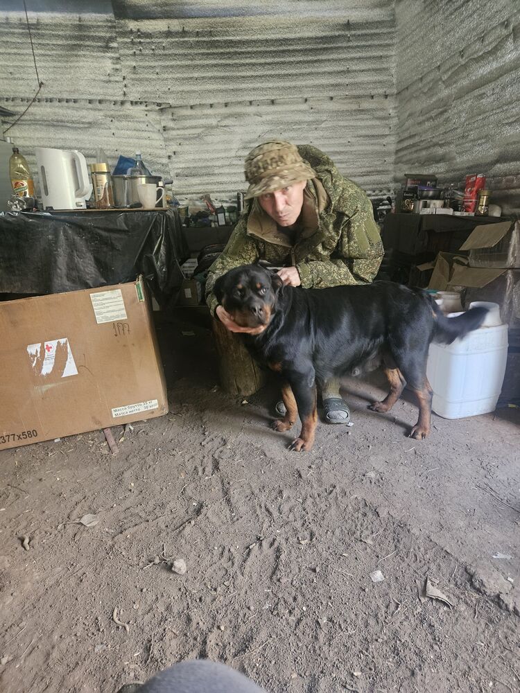 ���������� �����, ���� ������� ��������, 46 ���, ������������ ��� ������, ����� � ���������