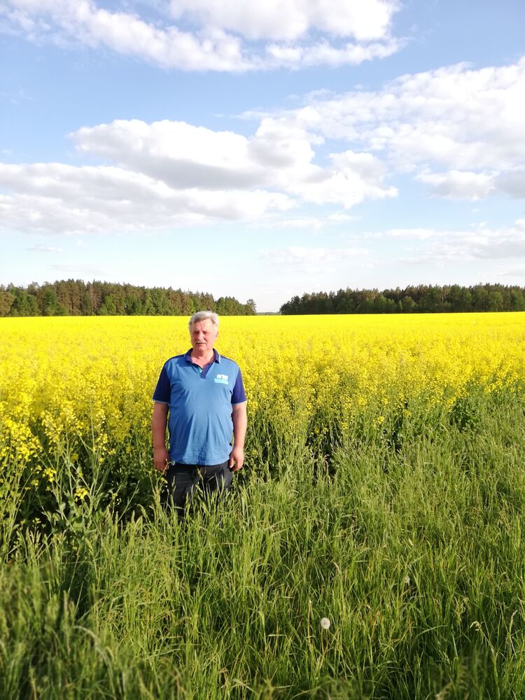 ���� 55628116 ������� ������, 56 ���, ���� ���������� � ������