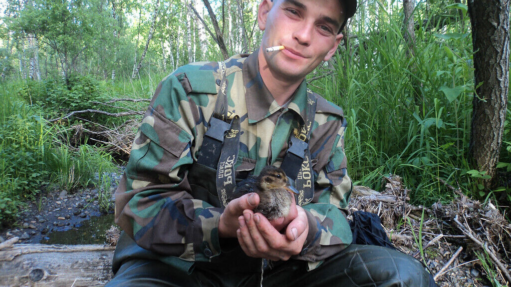 ���� 26603726 ������� ������, 40 ���, ���� ���������� � ���������