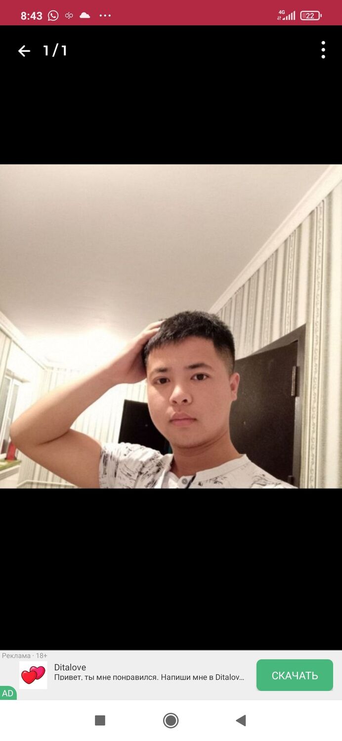 ���� 35720026 ������� ����, 38 ���, ���� ���������� � ������