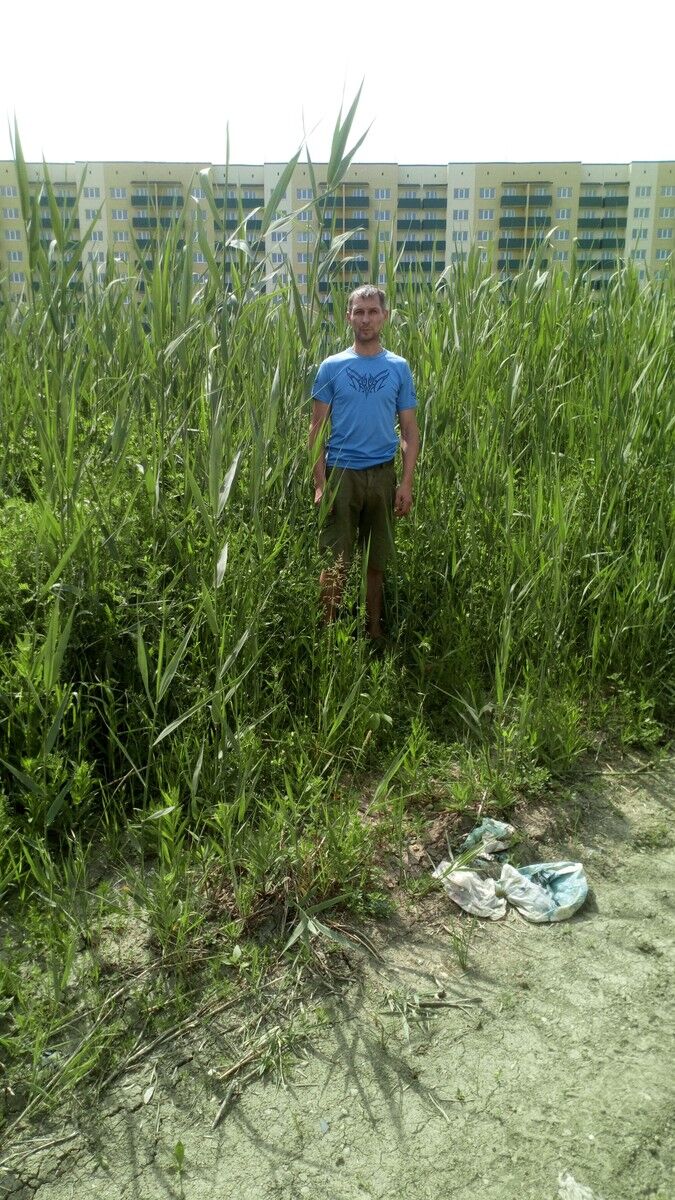 ���� 17142276 ������� �����, 45 ���, ���� ���������� � ����������