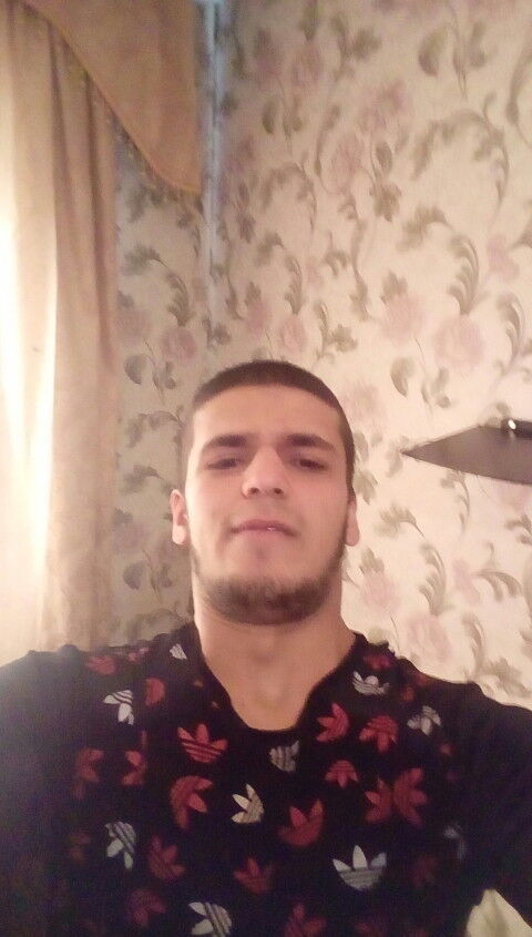 ���������� ������, ���� ������� Shamil, 31 ���, ������������ ��� ������, ����� � ���������, c�������� ���������